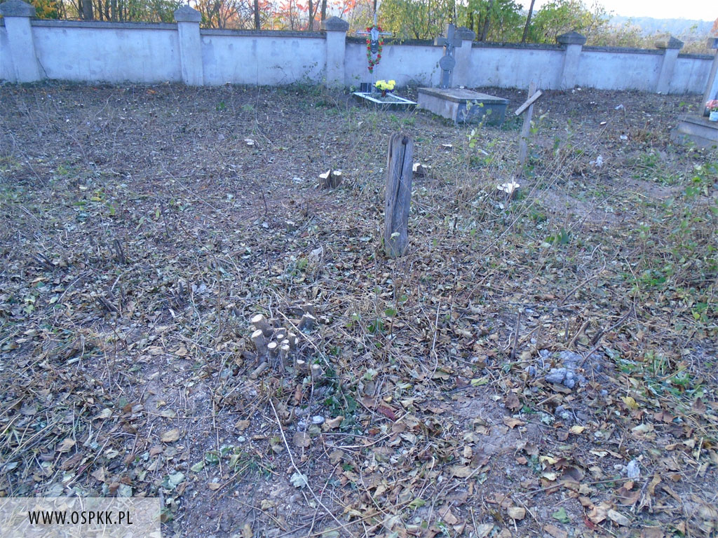 Wycinanie Zakrzacze   13102014r 3 20161209 1076305786