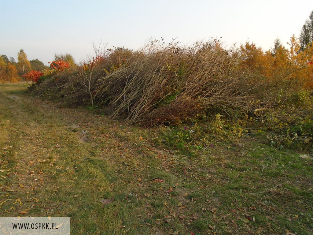 Wycinanie Zakrzacze   13102014r 7 20161209 1862329693