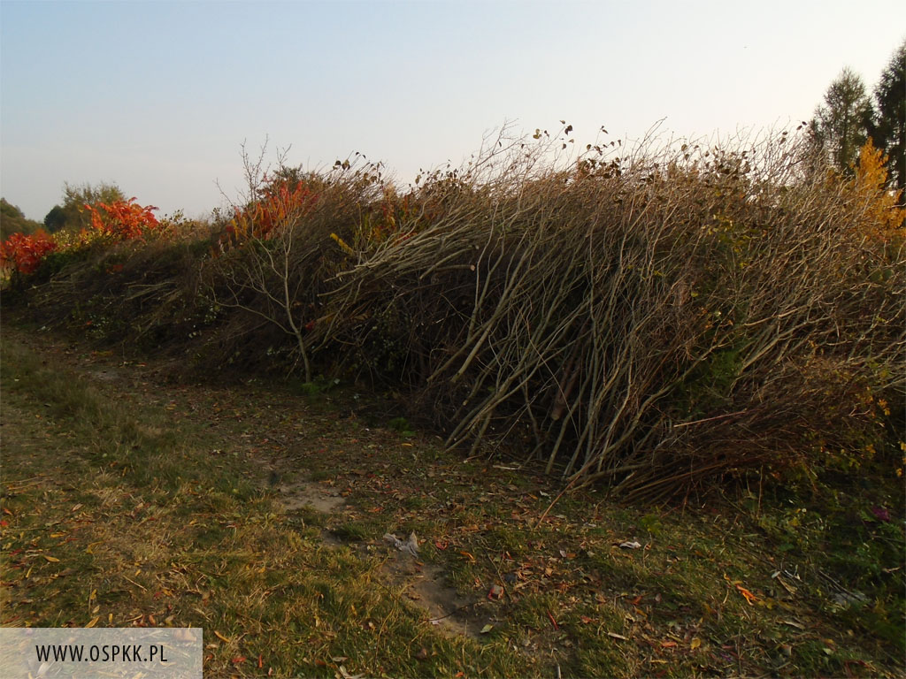 Wycinanie Zakrzacze   13102014r 8 20161209 2052927765