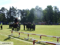 Zawody strażackie w Sernikach - 08.06.2014r._24